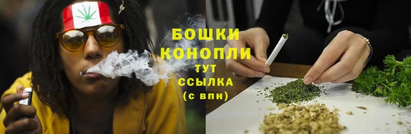 прущая мука Вяземский