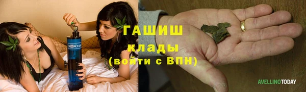 прущая мука Вяземский