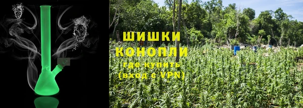 прущая мука Вяземский
